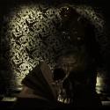 DarkPoet26